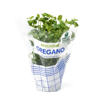 Oregano Ekologisk 1-p Kabbarps Trädgård.