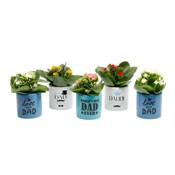 Arrangemang Fars Dag Mini 6cm.