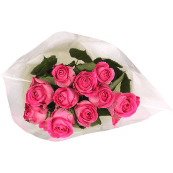 Rosor 10-p 40cm Fairtrade rosa ICA.