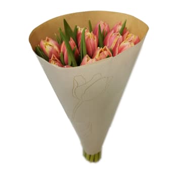 Tulpaner dubbelblommande 12-p varierande färger.
