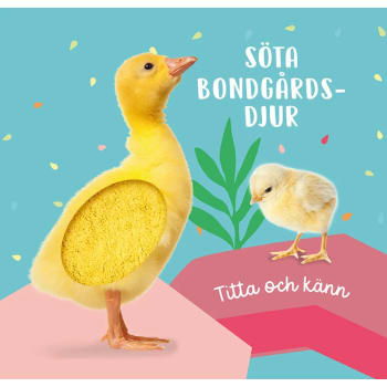 Titta och känn. Söta bondgårdsdjur.