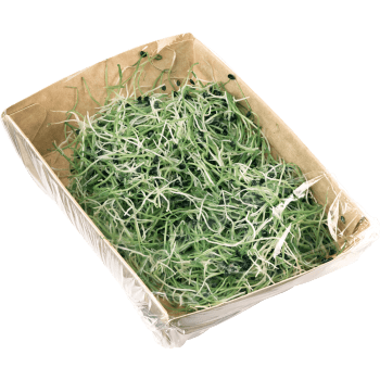 Vitlöksgroddar 50g Klass 1.