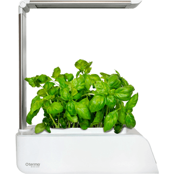 TERMO Smart Garden.