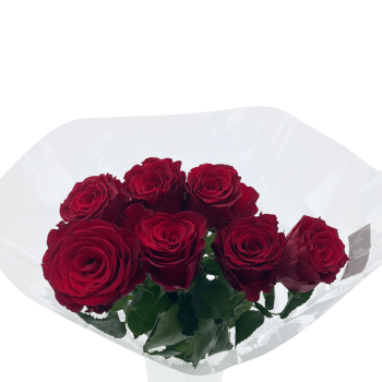 Rosor 7 pack röd 60 cm.