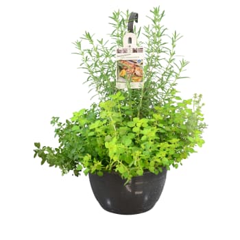 Kryddampel 27 cm.