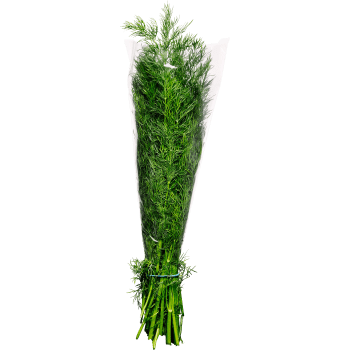 Dill knippe ca 50g Klass 1 ICA.