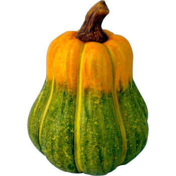 Pumpa 11,5 x 14 cm grön terracotta Festive.
