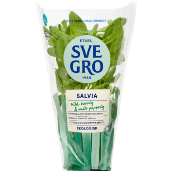 Salvia i kruka Ekologisk 1-p KRAV Svegro.