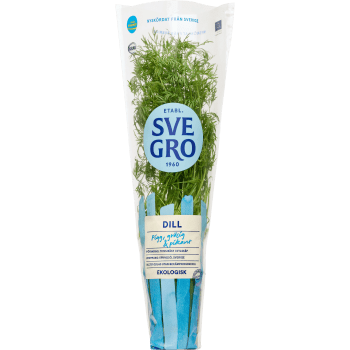 Dill i kruka Ekologisk 1-p KRAV Svegro.