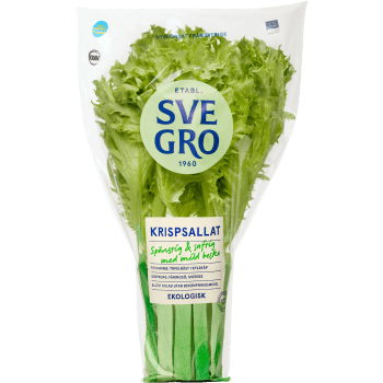 Krispsallad kruka 1-p KRAV Svegro.