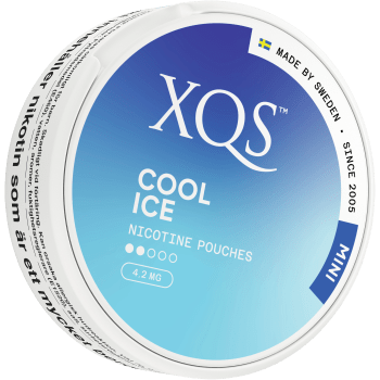 Cool Ice Mini 10 Gram XQS.