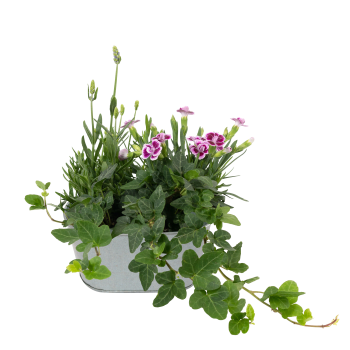 Arrangemang Zink Ute 14cm.