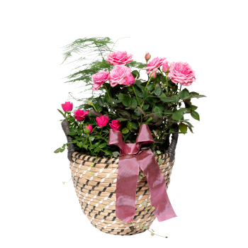 Stor Korg med rosa rosor 17cm.