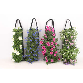 Hanging bag.