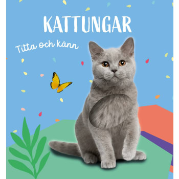 Titta och känn. Kattungar.