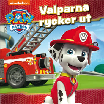 Valparna rycker ut.