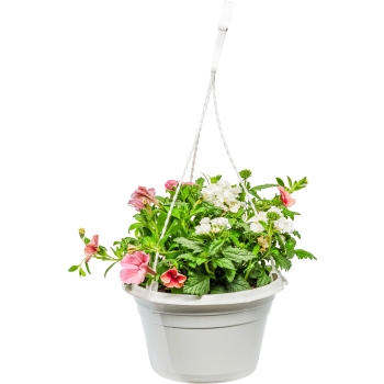 Sommarampel 20 cm.