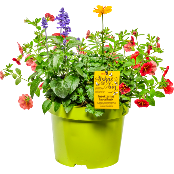 Sommarblommor mix ICA 19cm.