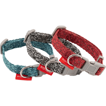 Halsband Katt Valp 1-p Best friend.
