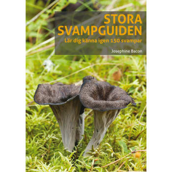 Stora svampguiden.