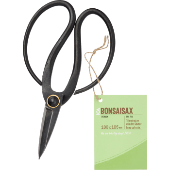 Bonsaisax ICA Garden.