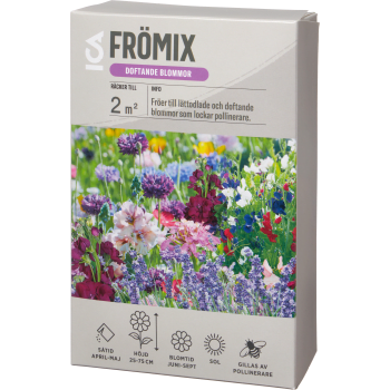 Fröer Doftande Blomsterrabatt ICA Garden.