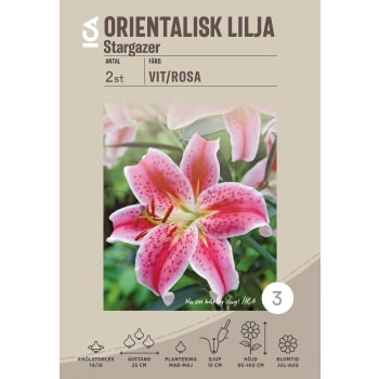 Gladiolus Fidelio rosa.