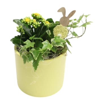 Arr Påsk Murgröna 13cm x3.