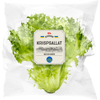 Krispsallat 150 Gram Klass 1 ICA.