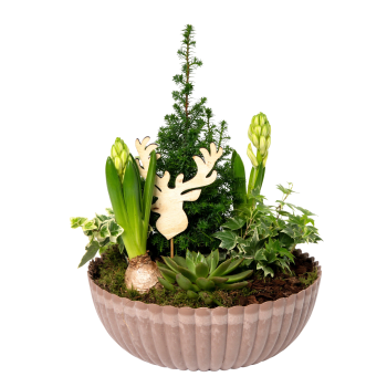 Julgrupp Trend L 20cm x3.