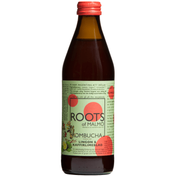 Kombucha Lingon & Kaffirlimeblad 330ml Roots of Malmö.