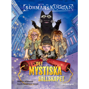 Sommarskuggan: Det mystiska sällskapet.