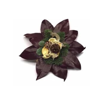 Grav Magnoliasol SE 20cm x8.