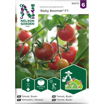 Tomat, Busk-, Baby Boomer F1 Nelson Garden.