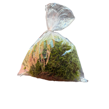 Grönmossa 100g SE x30.