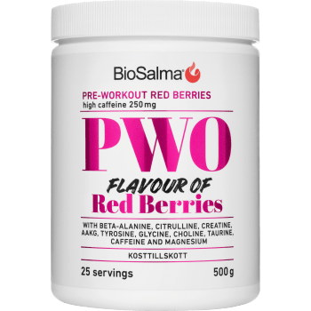 PWO Red Berries Pulver 500g BioSalma.