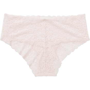 Spetstrosa rosa L Dorina.