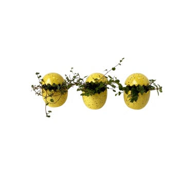 Arrangemang Ägg 6 cm.