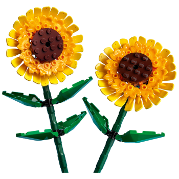 LEGO Botanicals Solrosor 40524.