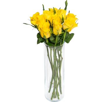 Rosor 10-p 40cm Fairtrade gula ICA.