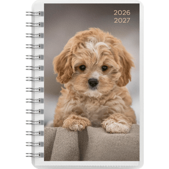 Kalender 26/27 Compact Pets.