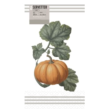 Servett 20cm Pumpa 15-p ICA.