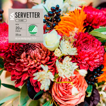 Servett 33cm Aster 20-p ICA.