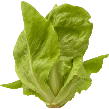 Huvudsallat 150g Svegro.