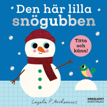 Den här lilla snögubben.