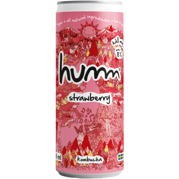 Kombucha Jordgubb 0.5% 330ml Humm.