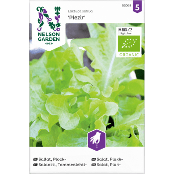 Sallat Plock Plezir Organic 1-p Nelson Garden.