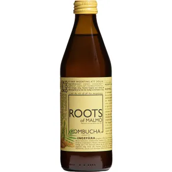 Kombucha Ingefära 330ml Roots of Malmö.
