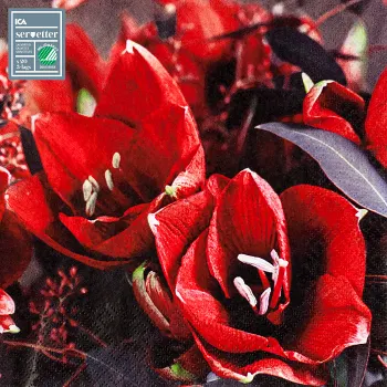 Servett 33 cm Xblomster.