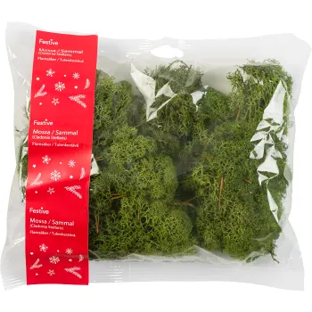 Mossa Grön Flamsäker 100g Festive.
